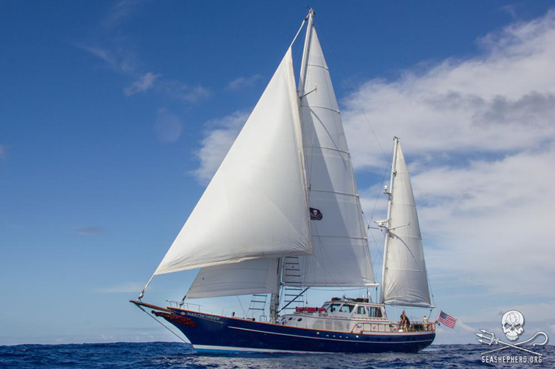 Aktor Michael Sheen wspiera Sea Shepherd