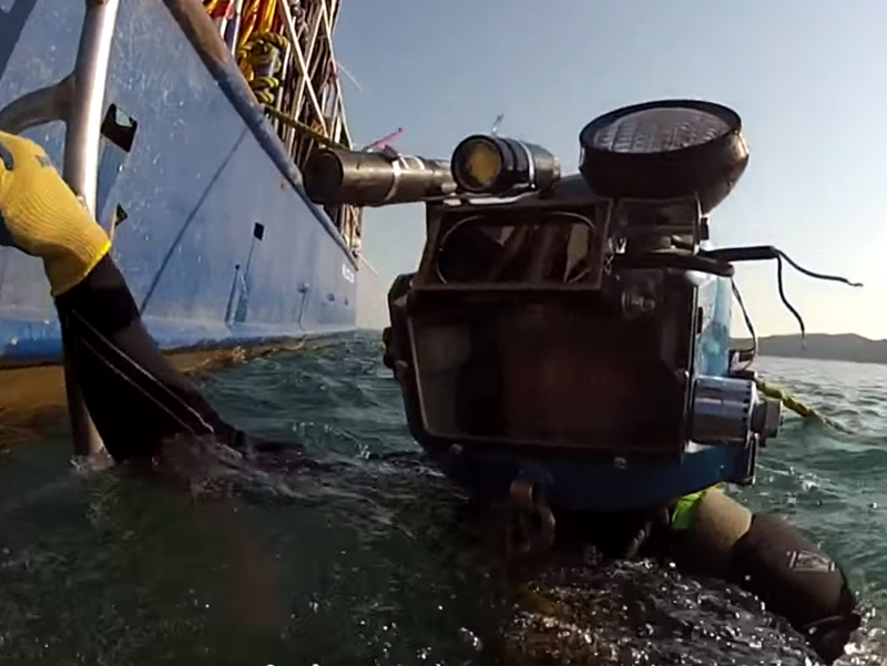 Dzień biurowy nurka zawodowego