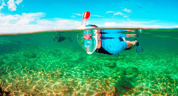 Bluelife.pl_Tribord-Easybreath-snorkeling_scuba_0